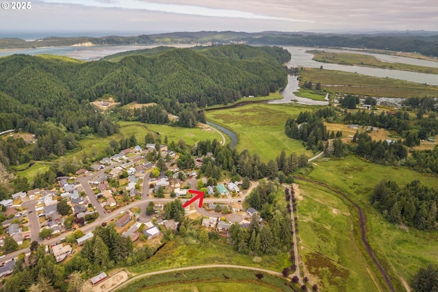 1011 Heather Ct, Reedsport, OR 97467 - aerial overview of property's location featuring a large body of water and a forest