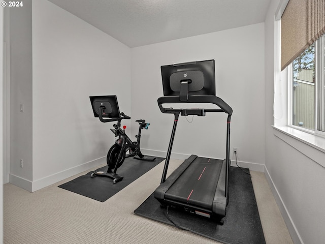 workout room featuring carpet floors