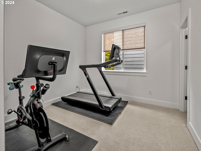 workout area with carpet flooring