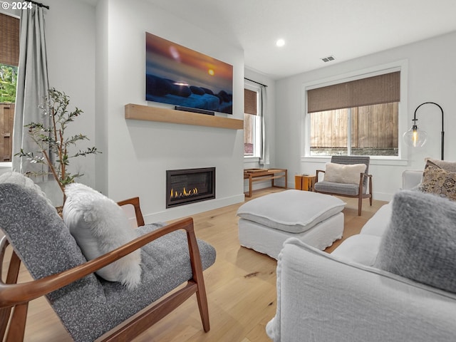 living room featuring light hardwood / wood-style flooring