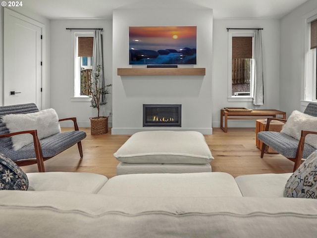 living room with light wood-type flooring