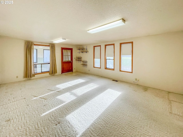 empty room featuring plenty of natural light, carpet floors, and a textured ceiling