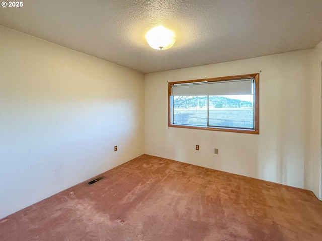 spare room featuring carpet flooring and a textured ceiling