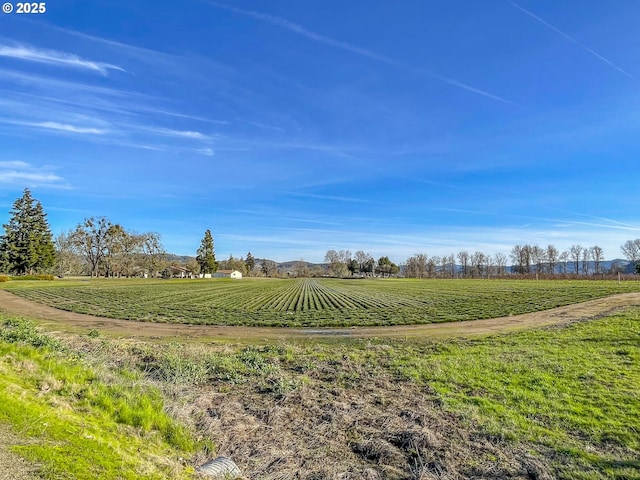 view of yard with a rural view