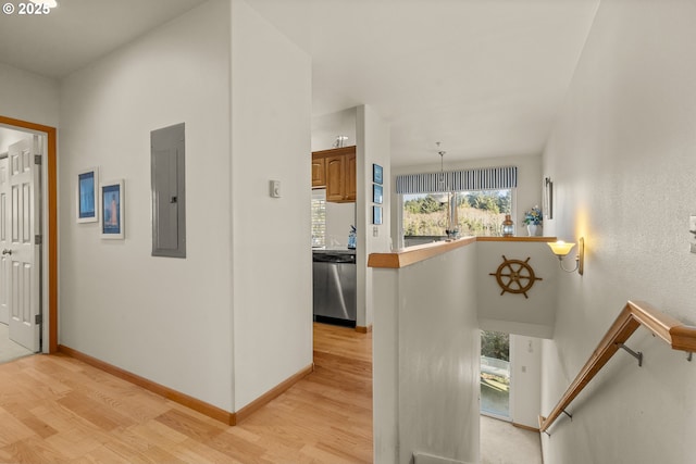 hallway featuring light hardwood / wood-style flooring and electric panel