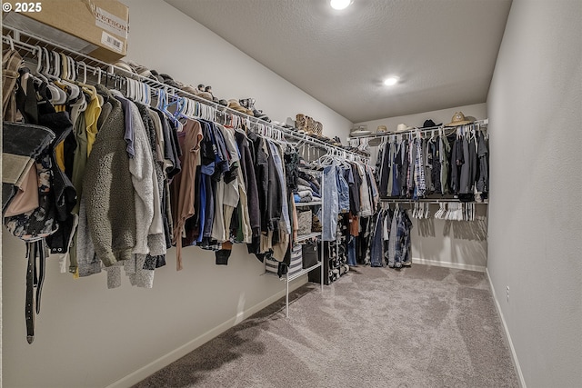 walk in closet with carpet flooring