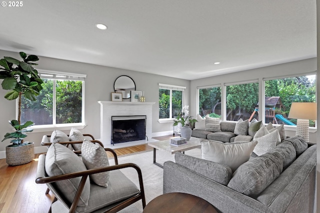 living room featuring a wealth of natural light, light hardwood / wood-style flooring, and a fireplace