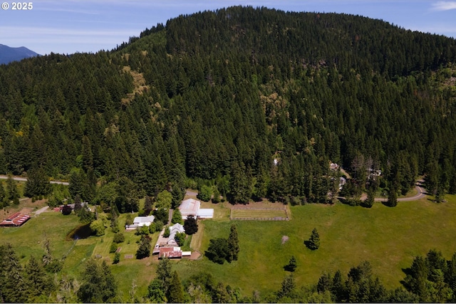 77690 Brock Rd, Oakridge, OR 97463 - view of property location with a heavily wooded area and mountains