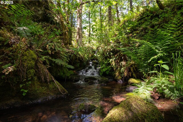 77690 Brock Rd, Oakridge, OR 97463 - view of local wilderness