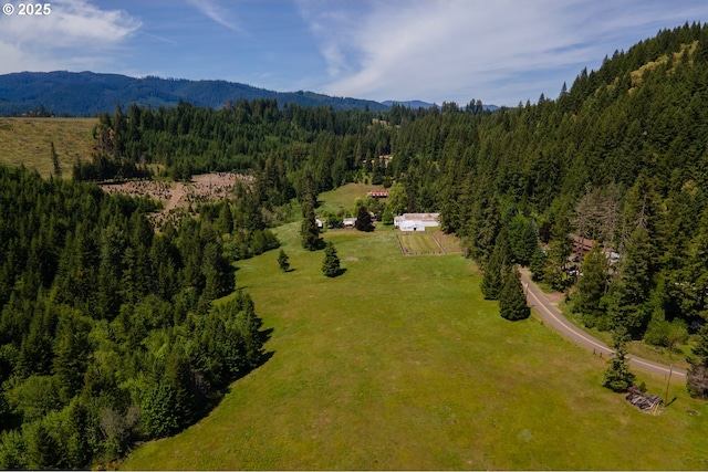 77690 Brock Rd, Oakridge, OR 97463 - bird's eye view of a forest and mountains