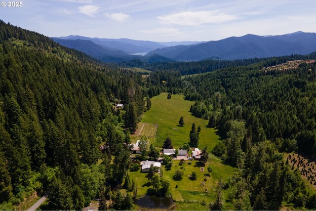 77690 Brock Rd, Oakridge, OR 97463 - bird's eye view of a forest and a mountainous background