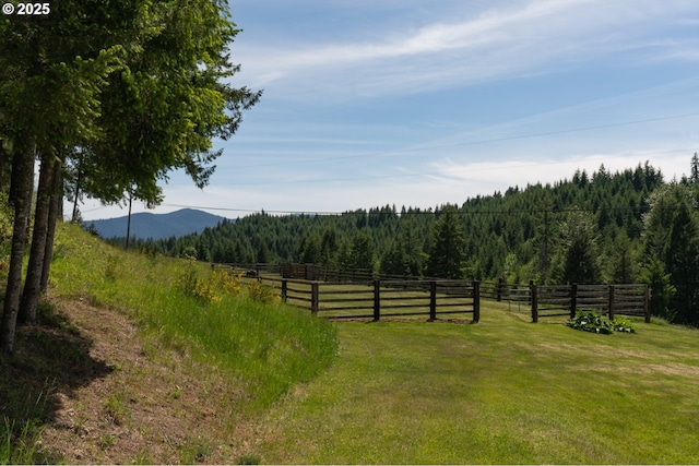 77690 Brock Rd, Oakridge, OR 97463 - view of yard featuring a forest view, a view of countryside, and a mountain view