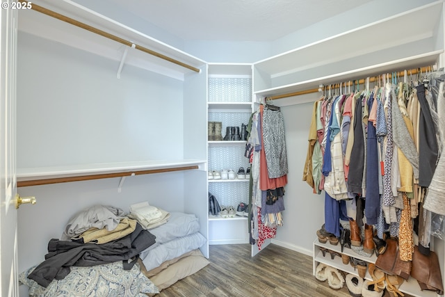 walk in closet featuring wood finished floors
