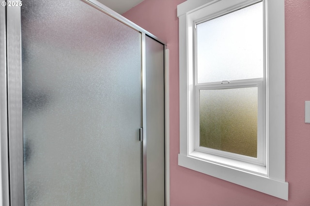 bathroom with a shower with shower door