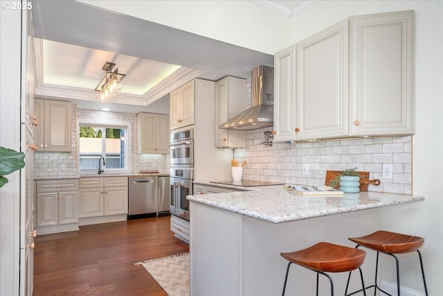 kitchen featuring appliances with stainless steel finishes, a peninsula, crown molding, wall chimney range hood, and a raised ceiling