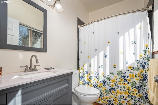 full bathroom with toilet, curtained shower, and vanity