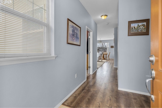 corridor featuring dark hardwood / wood-style flooring