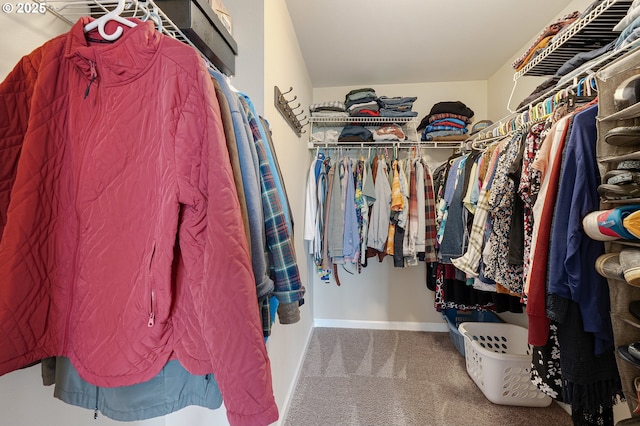 13420 SW 2nd St, Beaverton, OR 97005 - spacious closet featuring carpet