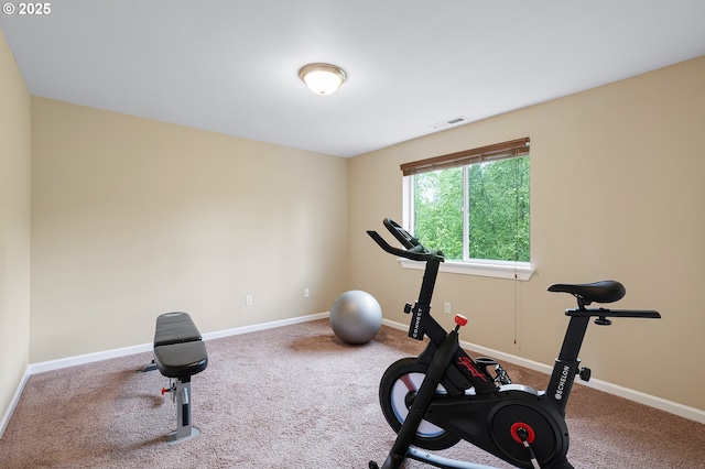 13420 SW 2nd St, Beaverton, OR 97005 - exercise area with carpet floors and baseboards