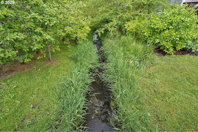 13420 SW 2nd St, Beaverton, OR 97005 - view of undeveloped land