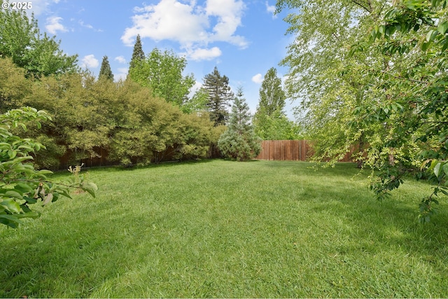 13420 SW 2nd St, Beaverton, OR 97005 - view of yard