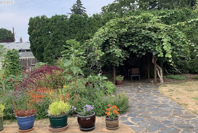 3132 SE 58th Ave, Portland, OR 97206 - view of yard
