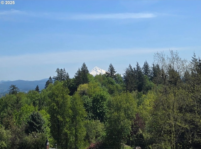 view of local wilderness featuring a wooded view and a mountain view