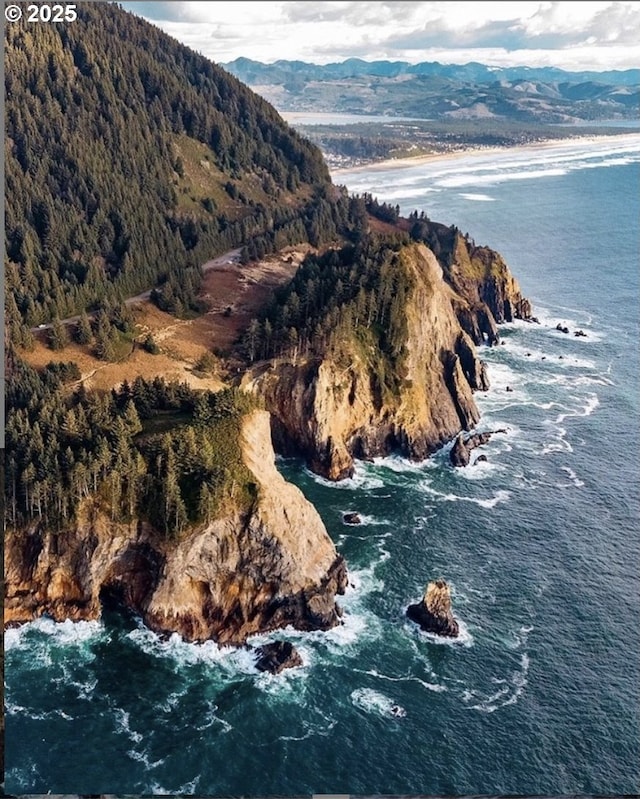 90 Beach Dr, Manzanita, OR 97130 - view of mountain background featuring a large body of water and a heavily wooded area