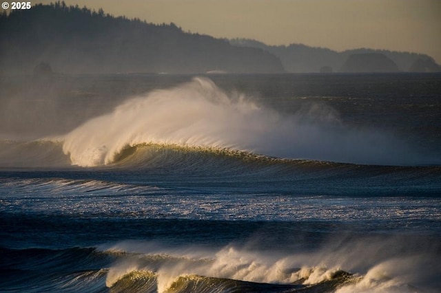 90 Beach Dr, Manzanita, OR 97130 - water view featuring local beach