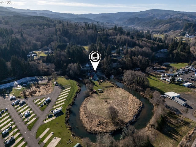 bird's eye view featuring a mountain view