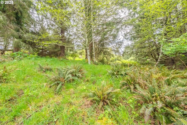 2400 NE 55th Ct Unit 2800, Lincoln City, OR 97367