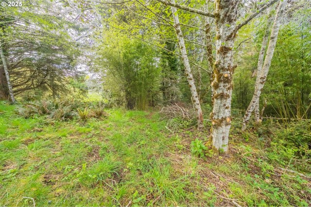 2400 NE 55th Ct Unit 2800, Lincoln City, OR 97367