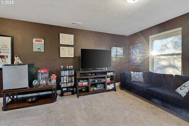 living room with carpet and a textured ceiling