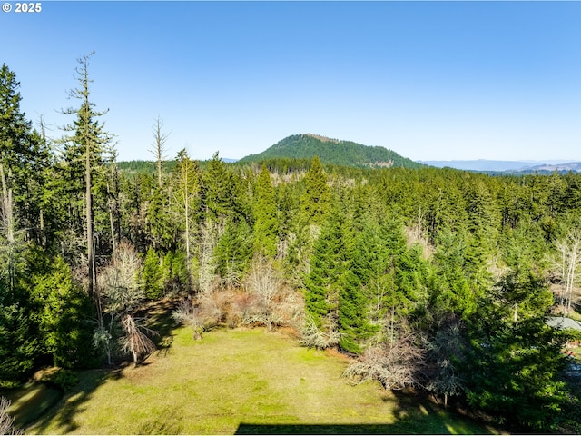 mountain view featuring a wooded view