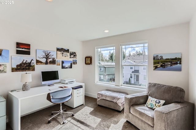 carpeted office with baseboards