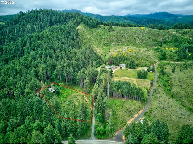 272 Whipple Tree Dr, Yoncalla, OR 97499 - aerial view of property's location with a forest, property parcel outlined, and a mountainous background