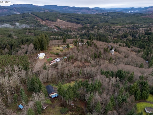 drone / aerial view with a mountain view