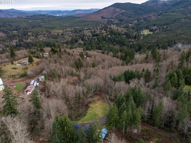 drone / aerial view with a mountain view