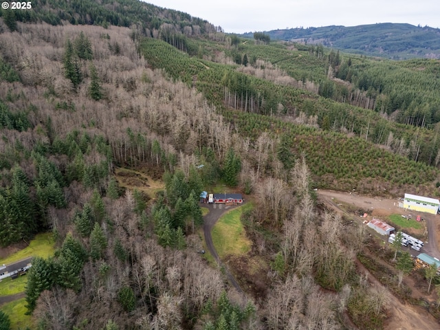 birds eye view of property featuring a mountain view