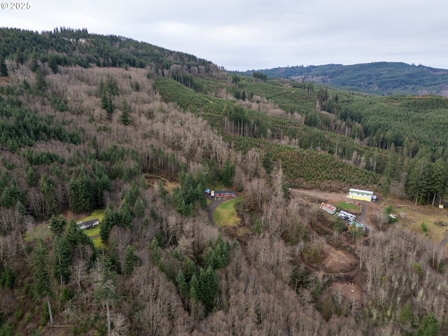 drone / aerial view with a mountain view