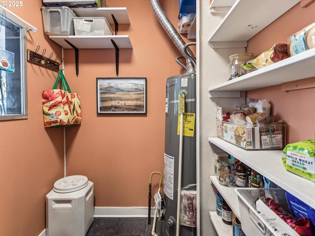 pantry featuring gas water heater