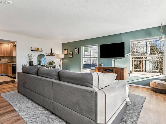 living room with light hardwood / wood-style flooring and a textured ceiling