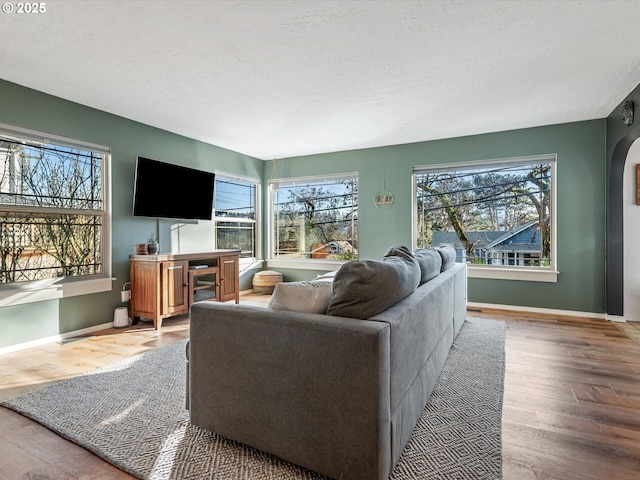 living room featuring a healthy amount of sunlight, a textured ceiling, and light hardwood / wood-style flooring