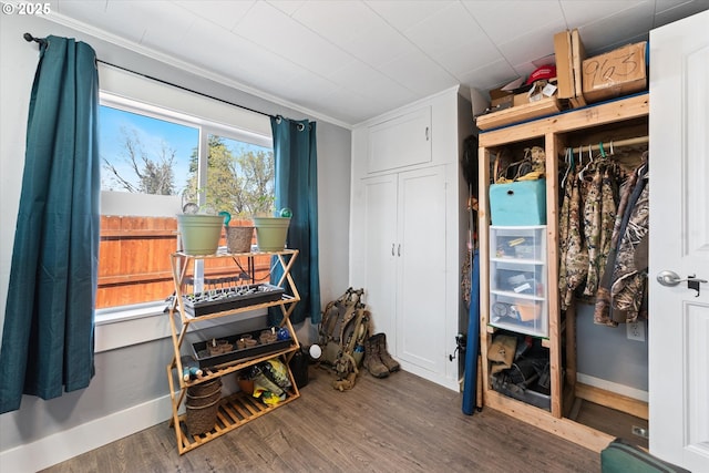 interior space with baseboards, ornamental molding, and wood finished floors