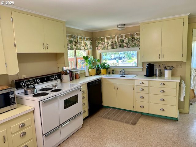 kitchen featuring range with two ovens, dishwasher, a sink, light countertops, and stainless steel microwave