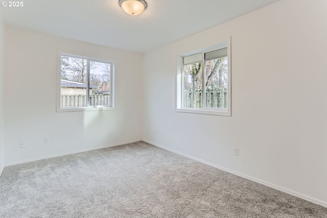 unfurnished room with carpet flooring and a wealth of natural light