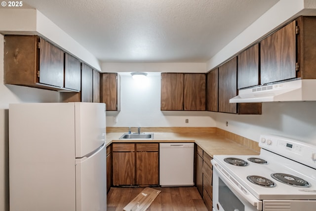 kitchen with sink, dark hardwood / wood-style flooring, white appliances, and a textured ceiling