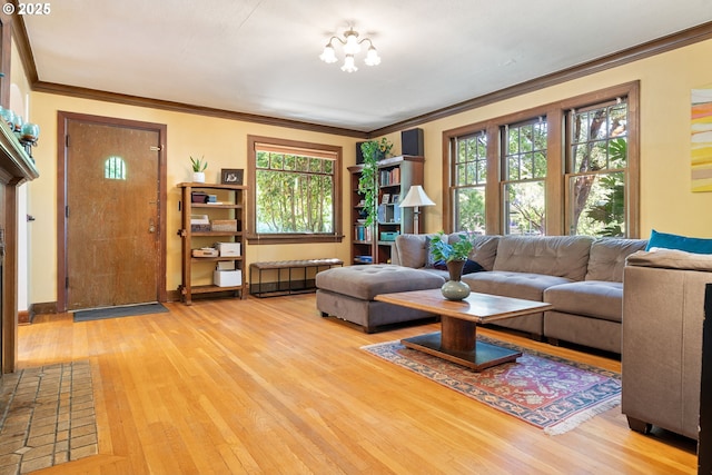 2406 SE 30th Ave, Portland, OR 97214 - living room with light wood-style flooring, healthy amount of natural light, and ornamental molding