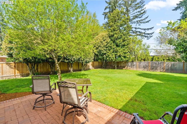 view of yard featuring a patio and a fenced backyard