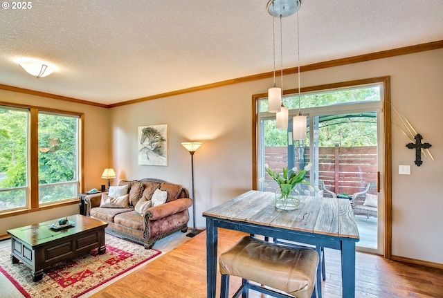 living area with a textured ceiling, healthy amount of natural light, crown molding, light wood finished floors, and baseboards